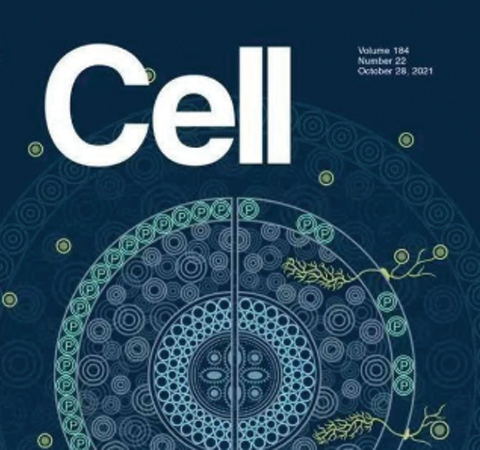祝賀王二濤老師團隊又一佳作榮登Cell期刊！